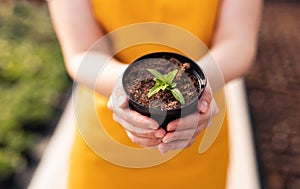 Crop gardener with potted sprout