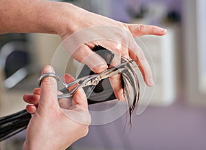 Crop hairdresser cutting hair to client