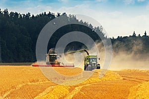 Crop harvest - combine harvester loading grains