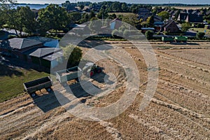 Crop harvest on a grain field at blue sky