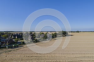 Crop harvest on a grain field at blue sky