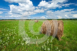 Crop hay bales on a green meadow and cumulus clouds on a blue sky on a sunny summer day