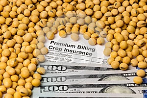 Crop insurance, premium bill, soybeans and 100 dollar bills