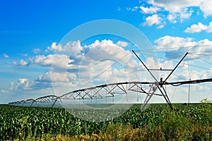 Crop Irrigation