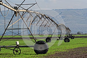 The crop irrigation system