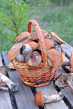 Crop of mushrooms in brown basket on wooden table closeup