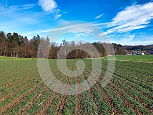 Crop rotation of an agricultural field. photo