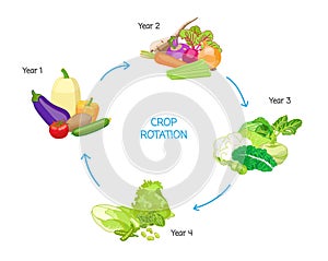 Crop rotation agricultural practice, farming seasonal cycle, soil nutritional energy renewal system