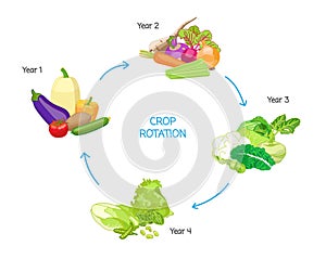 Crop rotation agricultural practice, farming seasonal cycle, soil nutritional energy renewal system photo