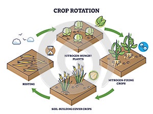 Crop rotation as sustainable soil fertility and resting cycle outline diagram
