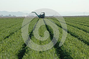 Crop Rows and Farm Machine