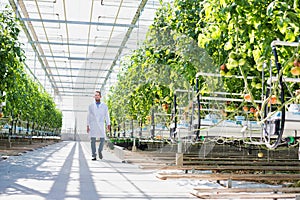 Crop scientist wearing lab coat walking in greenhouse