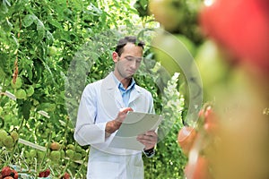 Crop scientist writing report on clipboard in greenhouse