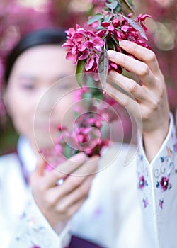 Cropp of Asian girl in a traditional kimono. Focus on on hands gently touch and hold a branch of blossom sakura tree. Concept of photo