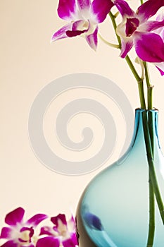 Cropped blue vase with pink orchids