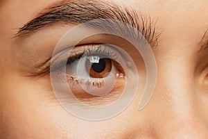 Cropped close-up image of female beautiful brown eye looking left side isolated over white studio background