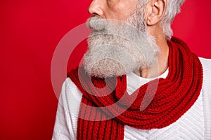 Cropped close-up profile side view portrait of his he nice attractive groomed calm confident content virile gray-haired