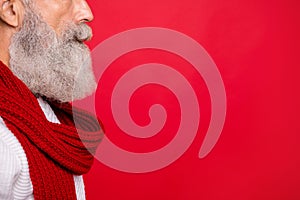 Cropped close-up profile side view portrait of his he nice attractive well-groomed calm gray-haired man grandpa