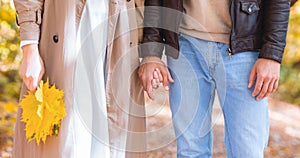 Cropped of couple holding hands and bunch of golden leaves