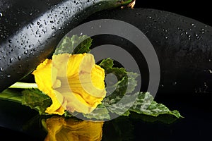 Cropped courgettes with flowers on black background