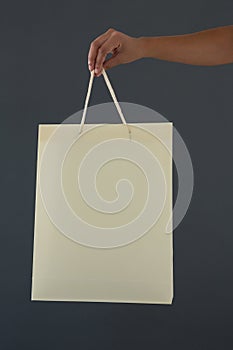 Cropped hand of female customer holding shopping bag