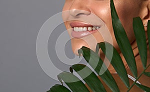 Cropped image of beautiful smiling woman with healthy clean fresh shiny skin and perfect smile holding palm leaf near her face,