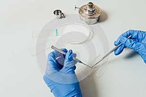 cropped image of biologist in latex gloves examining analysis in modern
