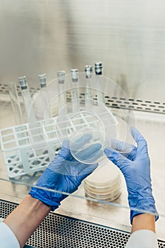 cropped image of biologist in latex gloves working with petri dishes in modern