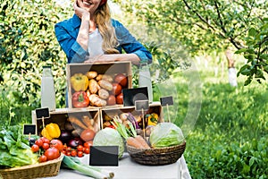 cropped image of farmer leaning on boxes with vegetables at farmer