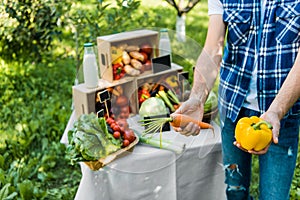 cropped image of farmer showing ripe ecological vegetables at farmer