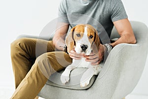 cropped image of man palming dog