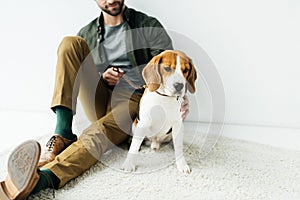 cropped image of man sitting with cute beagle on carpet