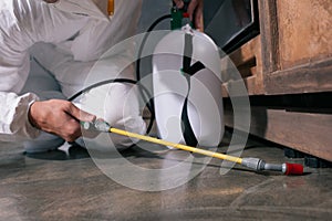 cropped image of pest control worker spraying pesticides on floor