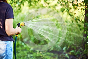 Cropped image of young woman watering flowers and plants in garden with hose in sunny blooming backyard