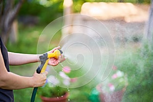 Cropped image of young woman watering flowers and plants in garden with hose in sunny blooming backyard