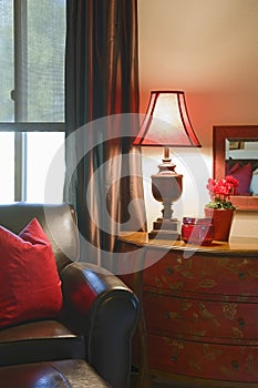 Cropped Leather Sofa By Lit Lamp