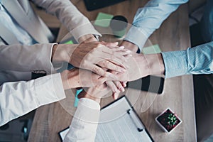 Cropped photo of business people doing team building motivation training in office