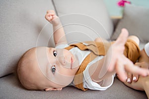 Cropped photo of excited curious adorable sweet son baby boy lay divan stretch hand wear suspenders home indoors