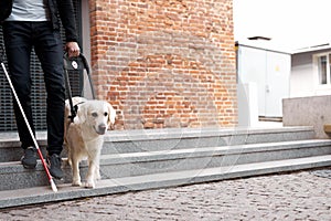 Cropped photo of human legs and guide dog