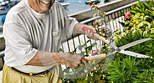 Cropped photo of Senior Man Trimming Hedge