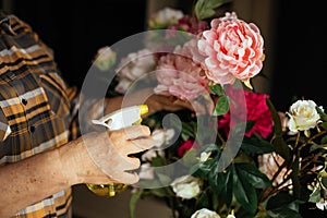 Cropped photo of senior woman wearing checkered shirt, spraying bouquet of pink, white roses with yellow pulverizer.