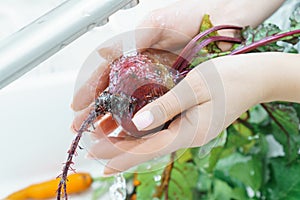 Cropped photo of woman washing fresh beet with leaves with hands under running splashing water in sink in kitchen.