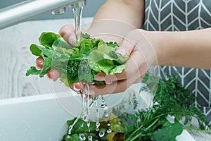 Cropped photo of woman wearing grey apron washing fresh greenery lettuce dill with hands under running water in sink.
