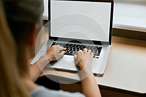 Cropped portrait of female employee typing on keyboard on generic laptop,