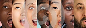 Cropped portraits of young multiethnic men and women on multicolored background. Collage made of 7 models. Concept of