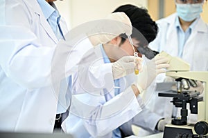 Cropped, a professional Asian scientist team is concentrating on their medical experiment