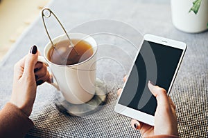 Cropped shot of female`s hands holding mobile phone with blank copy space screen