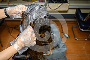 Cropped shot of a hairdresser hands doing colors a client`s hair.