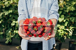 Cropped shot of hands holding a transparent box full of strawberries