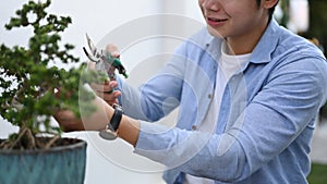 Cropped shot of happy Asian man using pruning shears trimming bonsai tree in a ceramic pot.